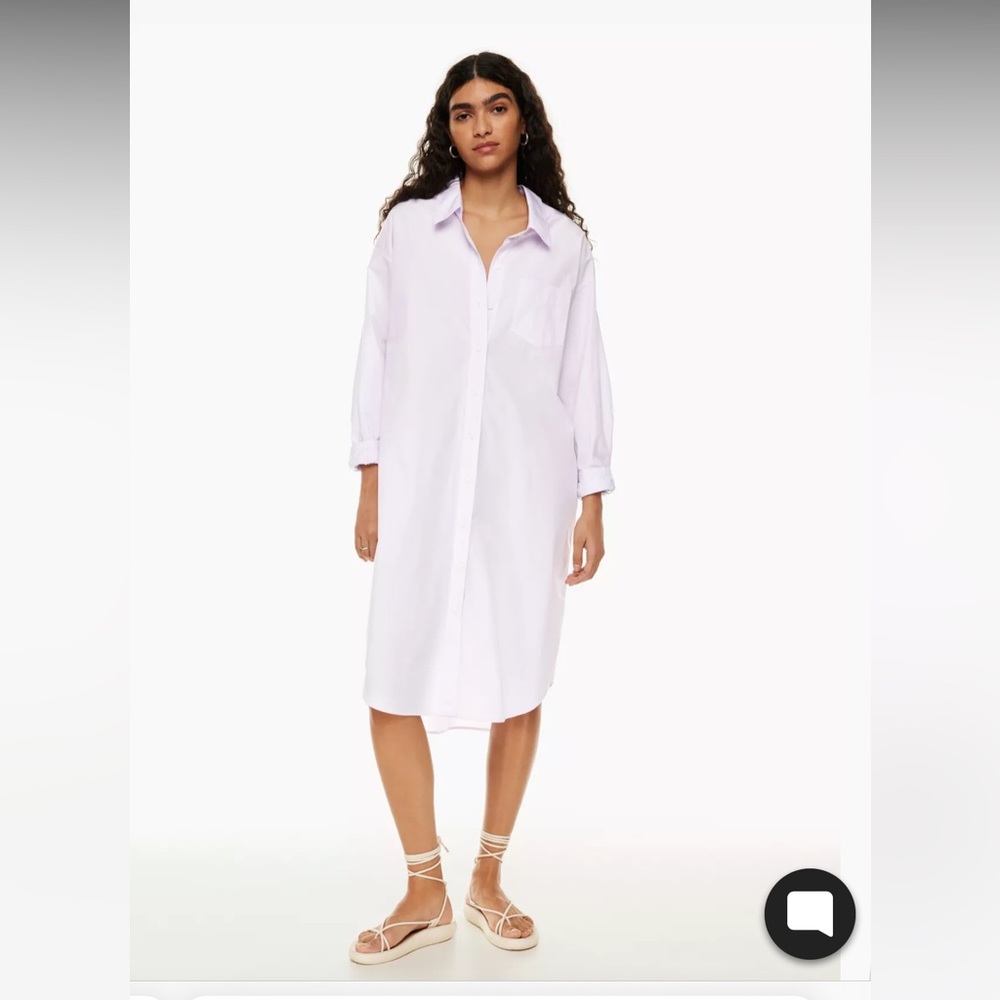 Aritzia Light Lavender Button-Front Shirt Dress